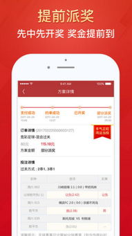 2023澳门天天彩开奖结果|精细解答解释落实_安卓版.6.968
