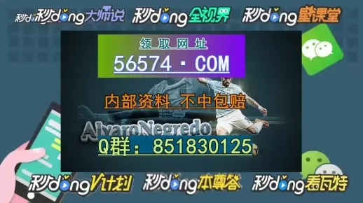 2024澳门天天开好彩大全65期|实践研究解释落实_显示款.3.209